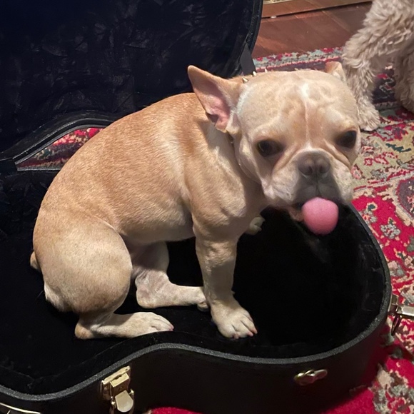 Meet your Posher, Ian - Picture 1 of 1